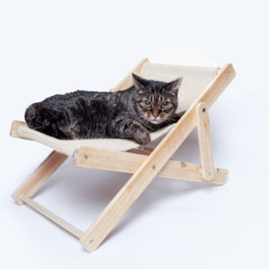 Chaise d'Animaux de Compagnie Diny